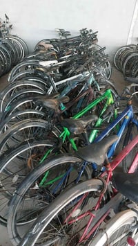 بابل سدة الهندية • دراجات • جملة مفرد