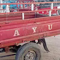 ستوته • مكينة نضيفه • بدون اوراق