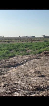 ١٠٠ دونم • واسط • صور