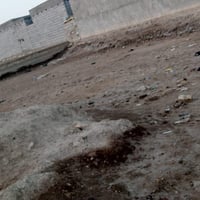 خلف احمد القاضي • ٢٥٠م • زراعي