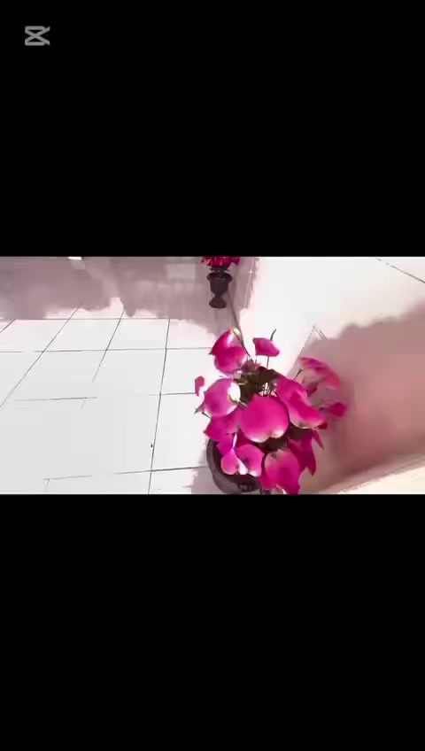 مرحبا بكم في قاعة مناسبات
القمه للاعراس واعياد الميلاد 

وحفلات التخرج والمناقشات 

❤️سارعو في الزواااججج يلا 

المامزوج يزووج😂🌚

ولدينا عروض ناااااااار🔥 لكافه الحفلات❤️
 

سارع في الحجز   

للاستفسار *********** 

واتساب ***********

الموقع. شارع حله بغداد مشروع المسيب ❤️
