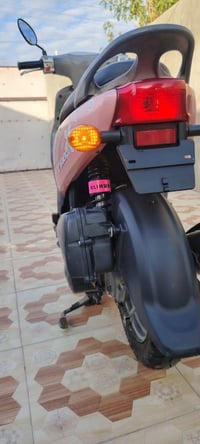 كفالة عامة • لون مميز • كوت