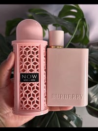 عطر ناو • نسخة بالكاربون • ثبات عالي