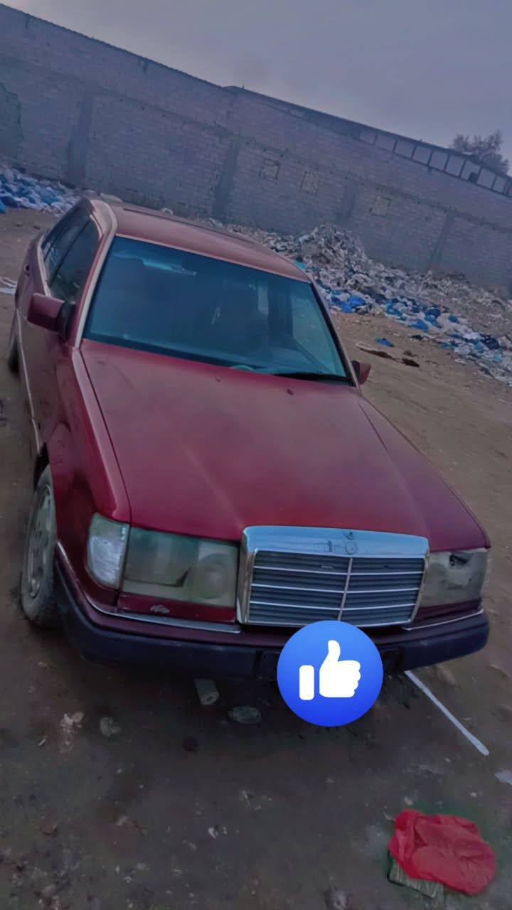 م
مارسدس دب 
لون احمر ميتاليك 
محرك محور ثنين ونص 

موديل 89 
محدثة ستيرن و دعامية امامي وخلفي شباك ولايتات 92 

العنوان .ذي قار .ناصريه 

30 ورقه وبيه مجال 

للستفسار عن الرقم ***********
