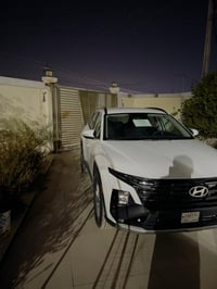 توكسان امريكي • ٢٠٢٥ • صبغ طرف البنيد