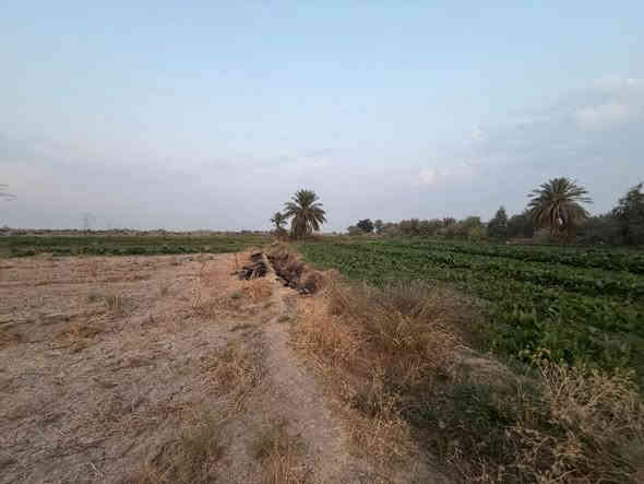 دوانم طابو زراعي سند 25 مداور باسم المشتري مباشر المكان خلف جامعه بابل تبعد عن شارع حله نجف 2 كيلو وتبعد عن التبليط 150متر الأرض زراعيه ومناسبه جداا
للاستفسار الاتصال على الرقم 
***********
