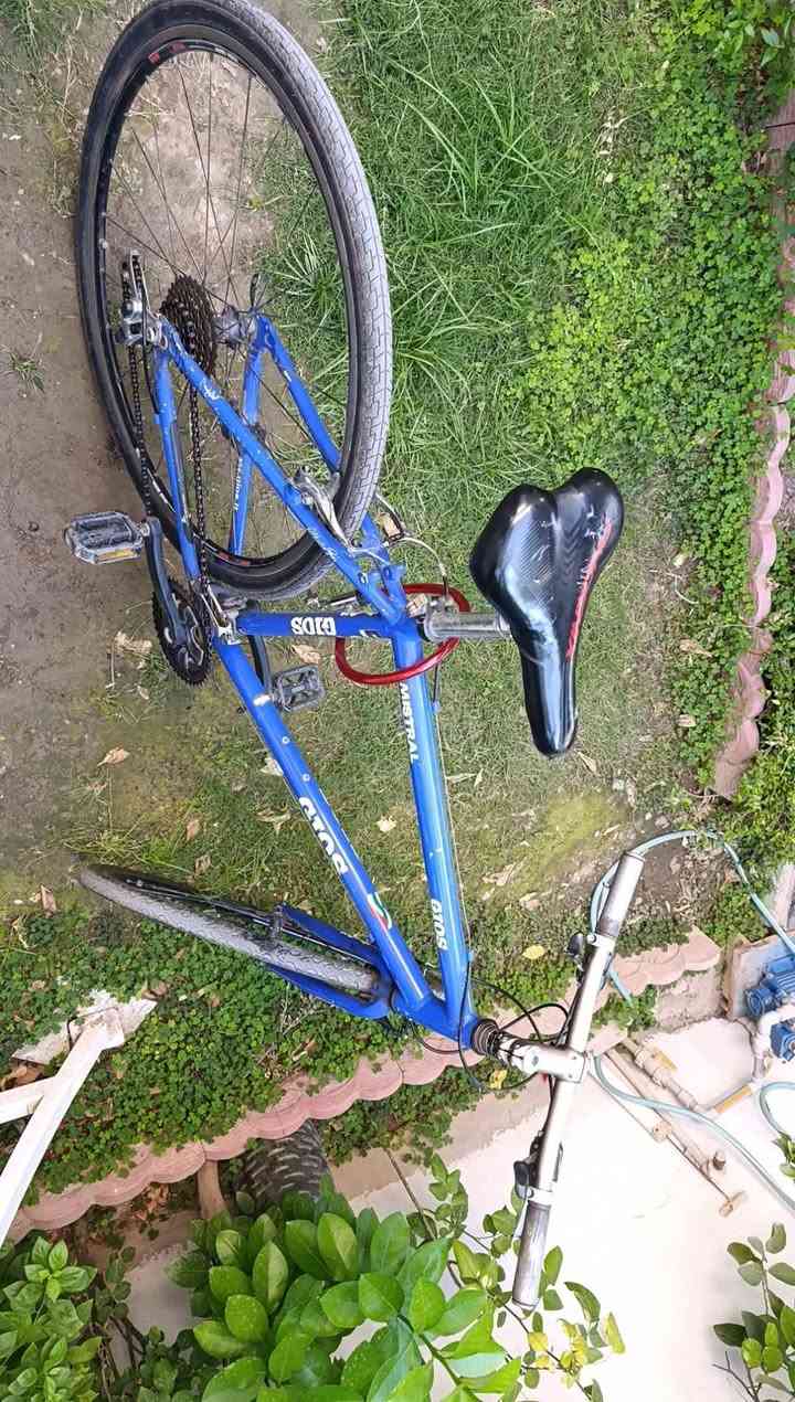 سلام عليكم باسكل حجم ٢٨ ١٥٠ وبي مجال مابي كل عيب


**إذا كنت صاحب هذا الإعلان وتريد حذفه لأي سبب، رجاءا أرسل رسالة إلى الدعم الفني**