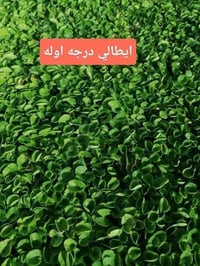 ثيل طبيعي • توصيل مجاني • واتساب