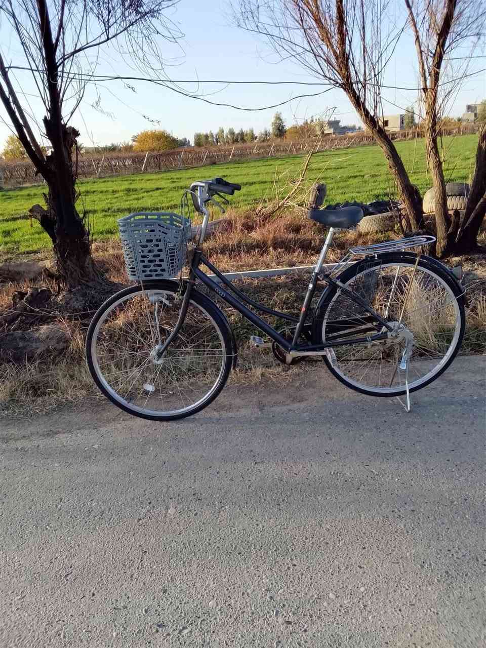 السلام عليكم ورحمه الله وبركاته هل من مبارز للبيع بايسكل ياباني موزه حجم 27 تبديلات حساس كله شغال بايسكل نظيف السعر 80 وبي مجال تفاصيل على الرقم ***********
