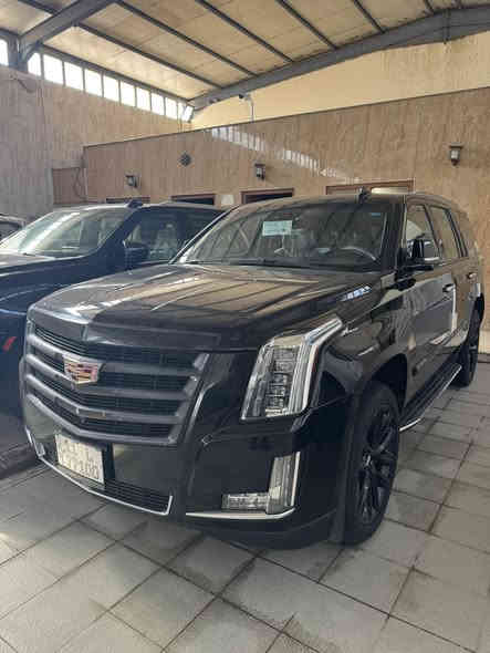 للبيع 
كديلاك اسكاليد
موديل 2020
بلاتينيوم
فول 1/1
فتحه
كشنات جلد 
كشنات كهرباء
كشن VIP
تبريد 3 قطع
هند بريك بصمه
تشغيل عن بعد
مكينه 8سلندر
حادثه بنيد فقط وبارد بلجاملغ بدون دواخل شاصي لغود مكفولات
رقم بغداد الدولي
ماشيه 106 الف 
باسمي
للاستفسار
***********
