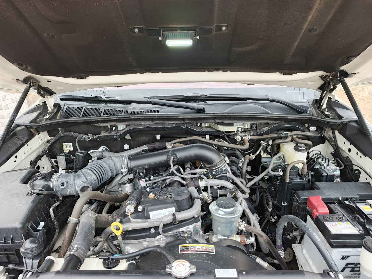 السلام عليكم تويوتا فورويل موديل 25 كفاله عامه على وضع الشركه يعني زيرو اوتوماتيك رقم اربيل تحويل مباشر يعني لا براء الذمه ولا شيء فول مواصفات شاحن اواكس تبريد تدفئه كشنات رادار بيع ومراوس 
العنوان ذي قار الفجر 
السعر المطلوب 350
تلفون ***********
ضمان ثلاث سنوات تبديل دهن على الشركه
