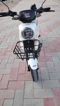 باسكل البيع 3اشهر السعر 350وبي مجال التواصل 07744292343