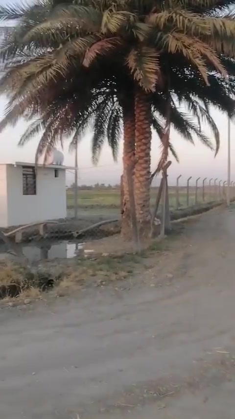 اشتري راحتك وراحت عائلتك 💎 🏝️🏞️
عرضاليوم 12دونم 💎
منطقة الشيخ عامر 
ذراع دجله التاجي 
 تبعد عن بغداد 20دقيقه 🕝
ماء 💧 
كهرباء ⚡ 
تبعد عن التبليط 150متر
واجهه الدونم 50 50مربع على شارع 

تبيع تقطيع من دونم فما فوق 🏞️
تكدر تسويها مزرعه العائله 🏝️ 
المدرسة تبعد عنك 4دقيقه 🕝
مركز صحي 
سند 25طابو زراعي فلوجه معامله كامله فتح بيان ثاني يوم 📝 
سعر الدونم الواحد 50وبيه واجهه على شارع 
الفرعي 42وبيه مجال 
شارع عرضه 6متر متر 📏 

💎الاستفسار اتصل ***********واتساب 📱
استاذ مهيمن احمد الاستثمار العقاري 💎
