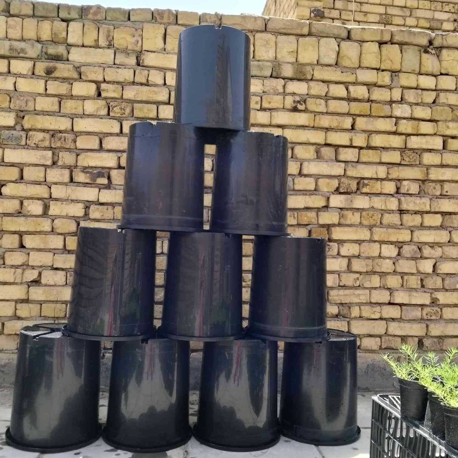 سنادين حجم كبير للبيع 
توصيل موجود داخل الناصريه 
متوفر ورد الصباح


**إذا كنت صاحب هذا الإعلان وتريد حذفه لأي سبب، رجاءا أرسل رسالة إلى الدعم الفني**