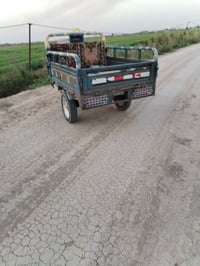 ستوته للبيع 2020 استفسار 07831529658