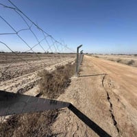 طريق حلة نجف • دونم • طابو زراعي