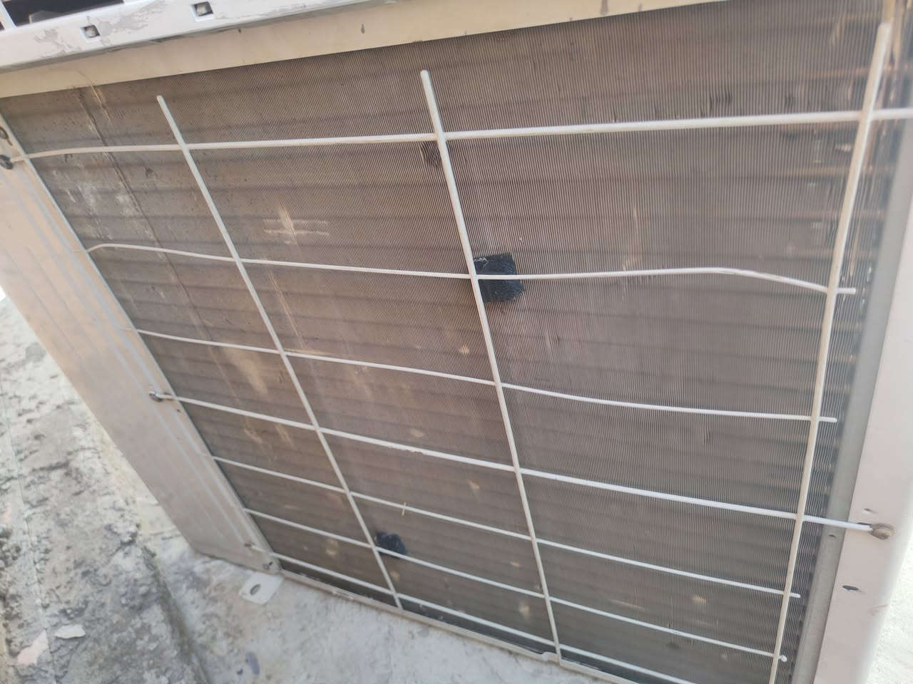 بسبب الوعود الكاذبه اعيد 
النشر خارجيه طنين غاز مقفل 22 توسوت بسعر نهائي 200


**إذا كنت صاحب هذا الإعلان وتريد حذفه لأي سبب، رجاءا أرسل رسالة إلى الدعم الفني**