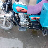 ستوته صقر • موديل 23 • مكفوله