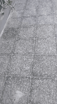 عندما تجعل الجودة غايتك ، سيطرق النجاح بابك دون استئذان
السلام عليكم اخوتي الكرام
شعارنا لسنا وحيدون ولكننا متميزون 
خلفات مصرية لتطبيق كافة أنواع السيراميك والبورسلين والكاشي والمرمر ، شغل فوق الممتاز وع الجضبان وبافضل دقة والتميز ، نتمني مساعدتكم بكل فخر لاخواننا ف العراق والمدينة 
للاستفسار : ***********
