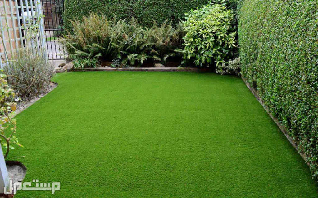 🌿✨ Al-Amry Landscape ✨🌿

نحوّل المساحات العادية إلى حدائق تنبض بالجمال والحياة 💚
تصاميم عصرية تجمع بين الذوق الهندسي والطبيعة الساحرة 🌺

🔹 تصميم وتنفيذ حدائق منزلية
🔹 حدائق الشركات والمجمعات
🔹 تنسيق حدائق المدارس والجامعات
🔹 تصميم جلسات خارجية (Outdoors)
🔹 زراعة الثيل والنباتات وتنسيق كامل للمساحات

👨‍🌾 بإشراف:
المهندس الزراعي عبد الحسن محمد العامري

💡 دقة بالتنفيذ + أفكار إبداعية + جودة عالية

📩 للتواصل والحجز:
***********

🌱 خلي حديقتك تحچي عن ذوقك… وإحنا نحقق الحلم 💫 البصرة, العراق
