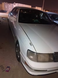 بطة • رقم بصره • مجال جسمي