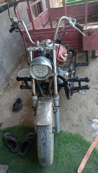 ستوته • أبيض • أوراق حلوه