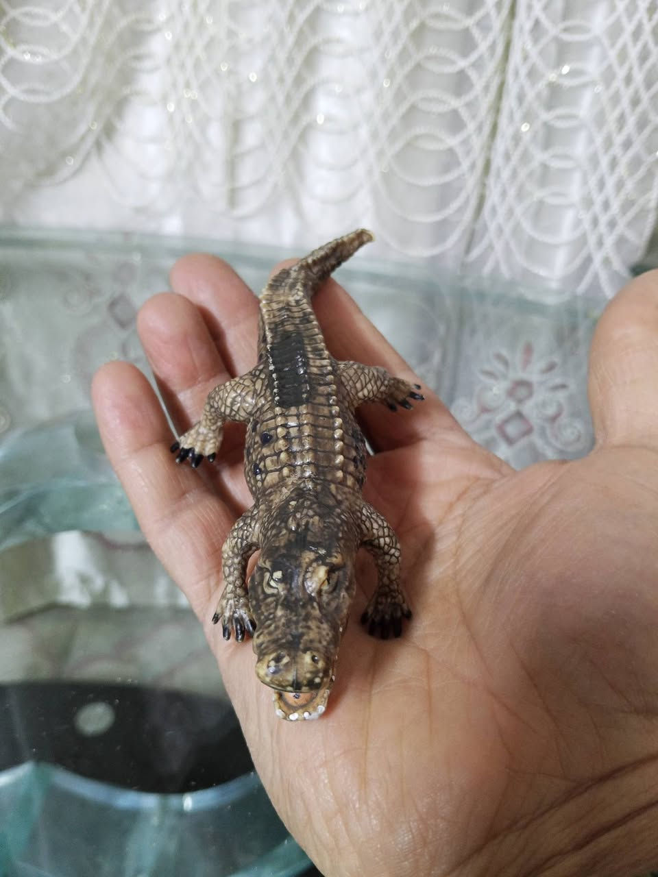 متوفر مجموعة حيوانات بيهن شلايش وبيهن ختم الماني وبيهن مامختوم العدد ٩ قطع توصيل  بغداد


**إذا كنت صاحب هذا الإعلان وتريد حذفه لأي سبب، رجاءا أرسل رسالة إلى الدعم الفني**