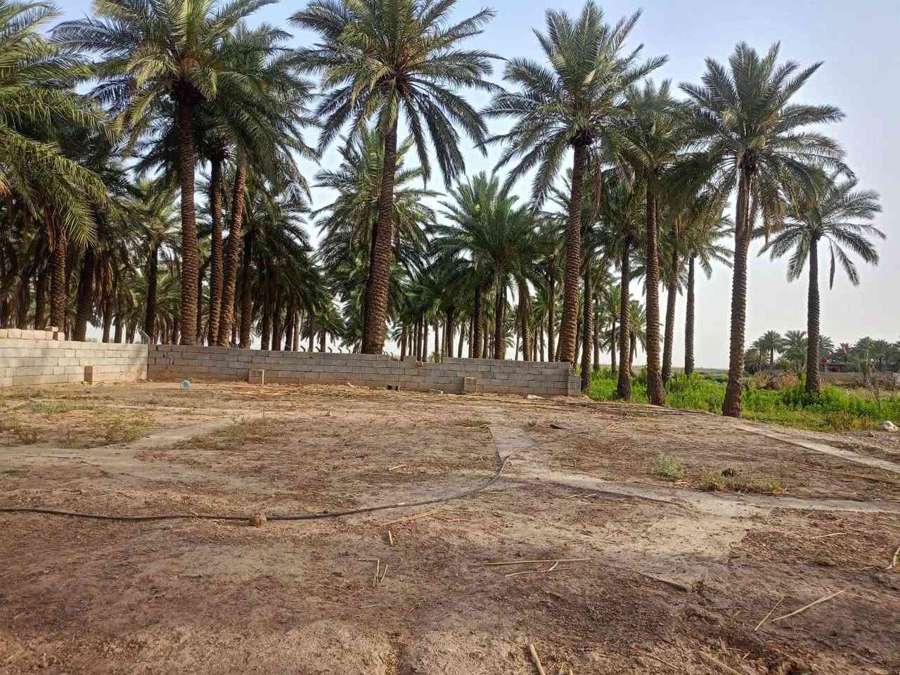 🌴 للبيع أرض زراعية مميزة 🌴

📍 الموقع: واسط – العزيزية
🛣️ طريق بغداد / العزيزية
✅ الواجهة مقابل الشارع العام مباشرة

📐 المساحة: ١١ دونم
📄 النوع: طابو زراعي رسمي
🌴 تحتوي على بساتين نخيل مثمرة
💧⚡ الخدمات متوفرة بالكامل (ماء وكهرباء)

✅ الأرض صالحة للزراعة والاستثمار والسكن الزراعي
✅ موقع ممتاز وحيوي وقريب على الخدمات

للاستفسار والتواصل على الخاص أو الاتصال:[. ***********        ]
