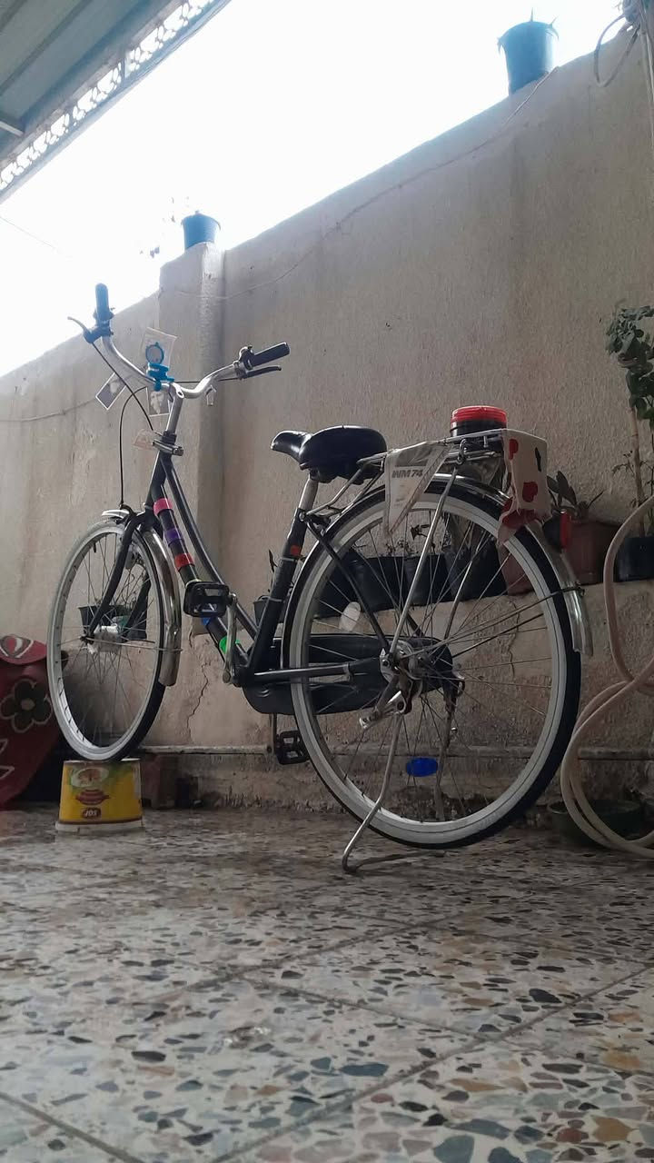 السلام عليكم بايسكل بناتي حجم 26 بايسكل جديد حاويه منزله تايرات جوابه بريكات حساس داينمو شغال ثلجي زنون السعر 120وبي مجال قليل المكان بغداد الحسينيه الراشديه قرب تقاطع بيت ورد جريخي............ ملاحضه بيع بدون اغراض.  !..............  شراي تعال خاص مو شراي اعبر المنشور رجائن


**إذا كنت صاحب هذا الإعلان وتريد حذفه لأي سبب، رجاءا أرسل رسالة إلى الدعم الفني**