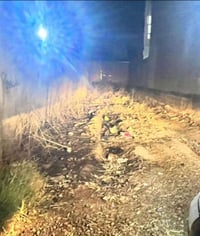 قطعة ارض زراعي مساحتهة 100م دور الزراعة الاولى خلف الجوال  للاستفسار: ...