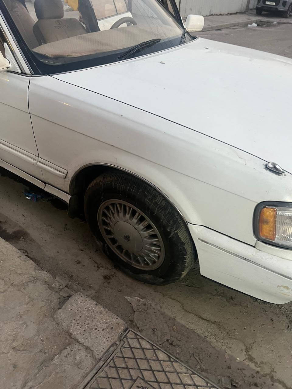 بسم  الله فره بدون صبغ للبيع الاتصال 
***********
