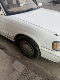 بسم  الله فره بدون صبغ للبيع الاتصال  07807726770