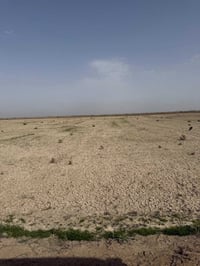 الصويره • ٢٠ دونم • طابو سند ٢٥