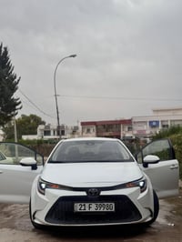 كورلا كندي • ٢٠٢١ • ابيض ثلجي