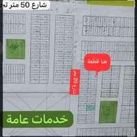 الديوم المسيج • ٢٠٠م • واجهة ١٠م