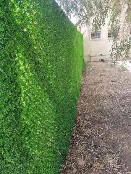 ***********
يتوفر واتساب 》***********
مستعدون لعمل ونصب اسيجه  بيارسي بكافة أنواعها وشغل مضبوط و بأاسعار مناسبة وحسب المواصفات والمساحه نعمل في جميع محافظات العراق الحبيب 🇮🇶 بغداد
