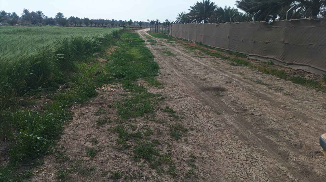 يتوفر دونم طابو زراعي سند 25
كل الخدمات متوفره 
معرفه تفاصيل اكثر 
اتصل ***********
صور من واقع الارض
