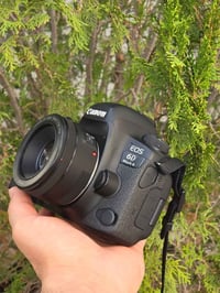 كانون EOS 6D مارك II • فول فريم • عدسة ٥٠مم ١.٨