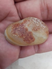 معطف ٤٠ • نوادر السليماني • توصيل