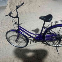 باسكل للبيع • شط العرب الجزيرة • بيه مجال