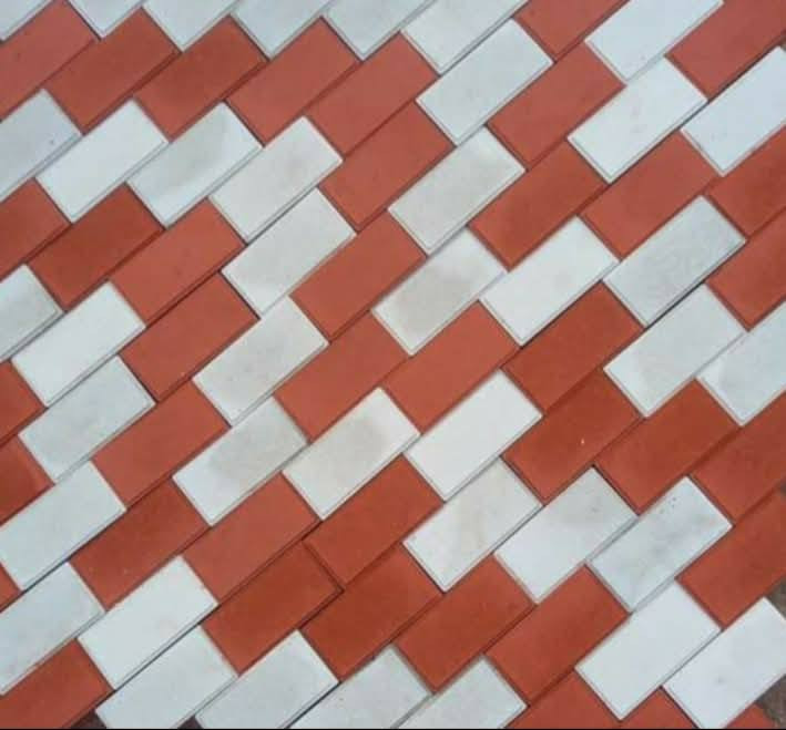 معمل حدائق الابداع @ طابوكه ١٠*٢٠ تجهيز كميات كبيرة حسب الطلب - ***********
