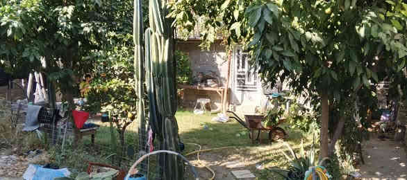 ارض للبيع 300 متر سند 25 فيها دار 100متر ومخزن3×11
العنوان كربلاء قرية الطف عامود236 تبعد عن الشارع200متر السعر 140 وبي مجال للتفاوض ه‍ ***********
