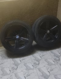 تخم هامان • نضيف • حجم ١٧