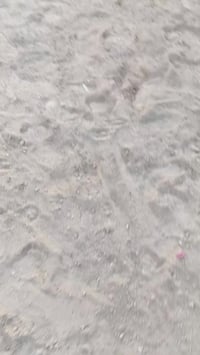 نص قطعة • ١٢٥م • المسيب حي العسكري