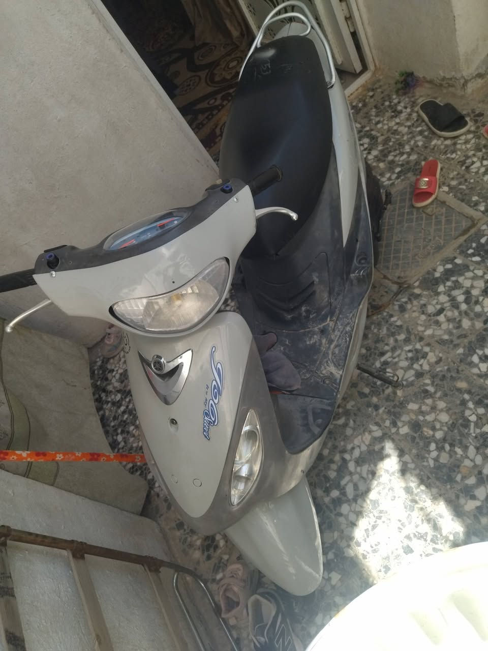 سلام عليكم ماكس منغولي رمبه صارله 3اشهر من نازله كله ختم واحد الون مميز اسمنتي ابلادي شلعه معدل كهرباءيات كل شغال مكفول كفاله عامه مكاني نجف حي نداء الشراي  يراسني


**إذا كنت صاحب هذا الإعلان وتريد حذفه لأي سبب، رجاءا أرسل رسالة إلى الدعم الفني**