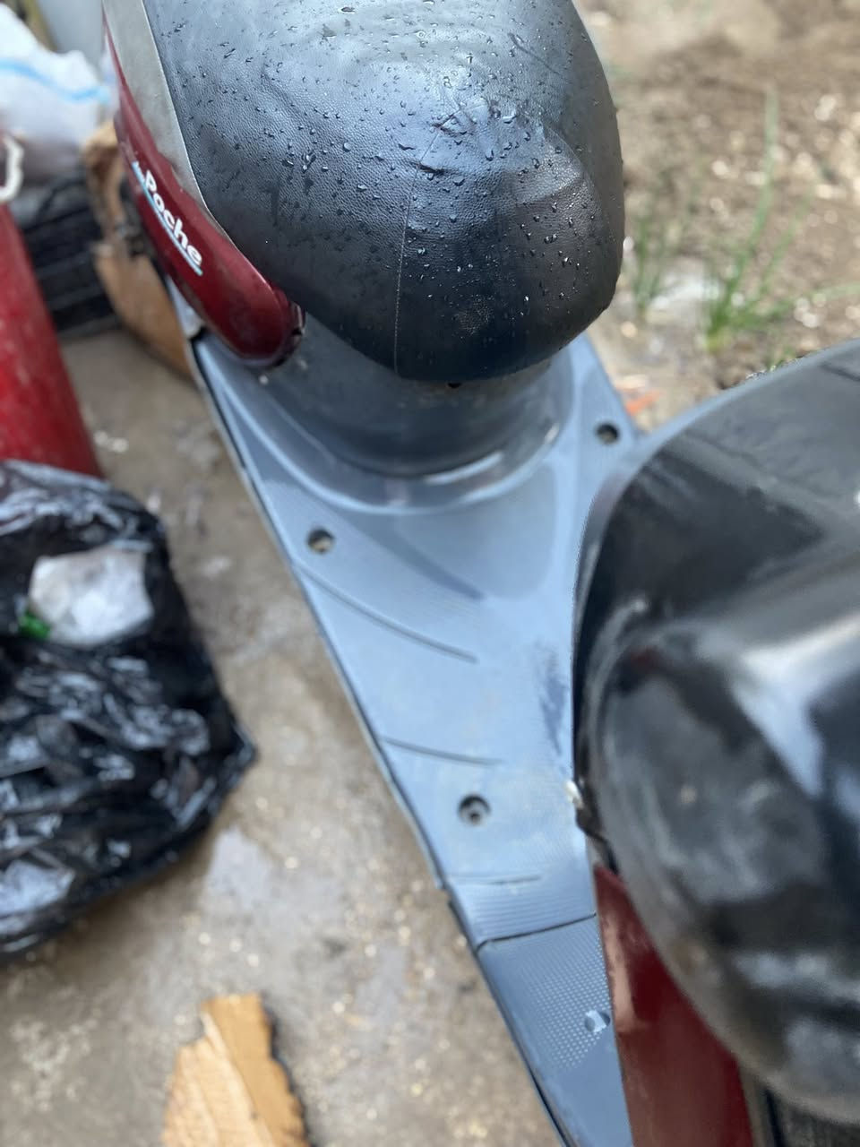 دراجه منغولي للبيع
دراجه فول 

سعر فول 

***********
