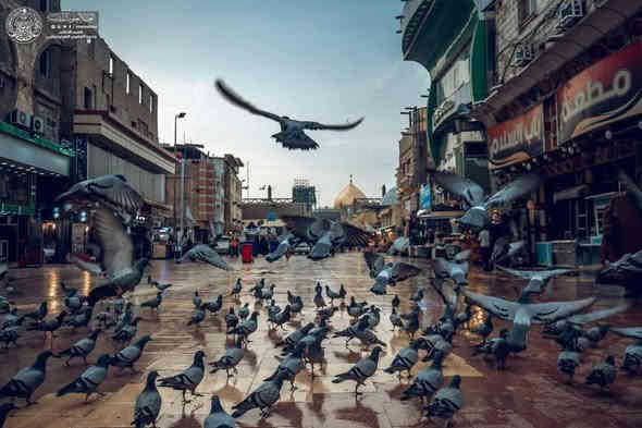 #فقط 5 الالاف دينار 🌹🌹 للعوائل فقط
#حملة_اهل_البيت عليهم السلام 
1-النجف
2-الكـوفۃ
وقت الانطلاق الساعة 6 صباحاً 
 يوم الجمعه ان شاء الله
وهناك وجبت إفطار داخل الباص 
وستتضمن السفرة مسابقات دينية 
مقابل جوائز 🎁🎁
وكذلك هناك هدية لكل ست اشخاص يكون الشخص السابع  مجاني 🏃‍♂️
للحجز والاستفسار الاتصال على الواتس اب والتلي والفايبر
وين مايكون عنوانك اجيك وتدللون 
***********
***********
،،،،،،،،،،،،،،،،،،،
بادارة خادمكم صادق ابو سراج 
العنوان الديوانية /حي الصدر الثالث 
ومن الله التوفيق
