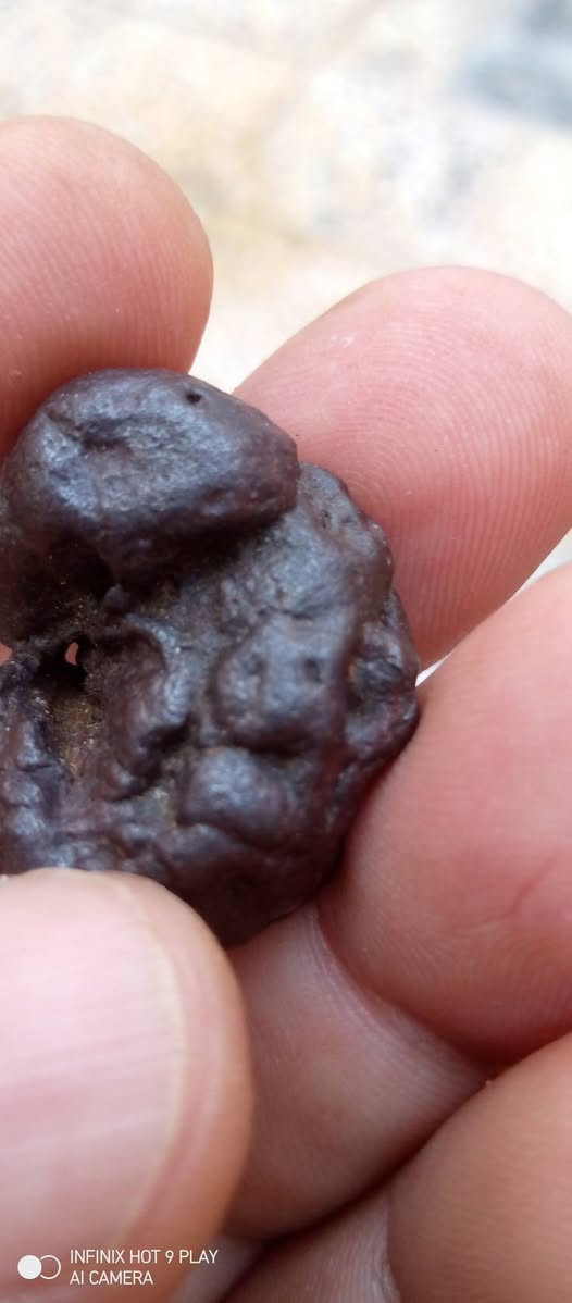 حجر هبهاب قديم


**إذا كنت صاحب هذا الإعلان وتريد حذفه لأي سبب، رجاءا أرسل رسالة إلى الدعم الفني**