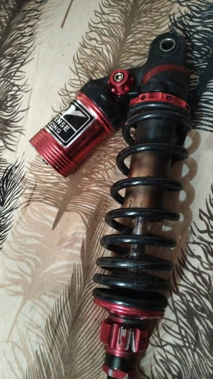 للبيع *********** ينشد الماكس السكنس الجبلي الجيتار
