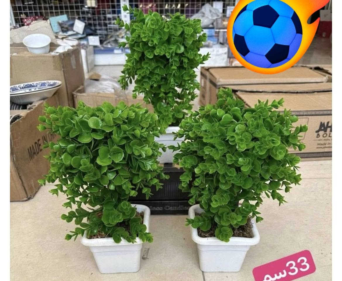 القياس الكبير ٦الاف والصغير ٥الاف


**إذا كنت صاحب هذا الإعلان وتريد حذفه لأي سبب، رجاءا أرسل رسالة إلى الدعم الفني**